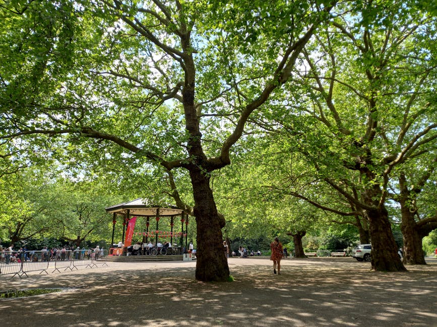 A park scene featuring a large mature tree with a thick, textured trunk and sprawling branches covered in vibrant green leaves. In the background, there is a small open-air stage with a curved roof supported by metal poles, situated on a paved area. Surrounding the stage are metal barriers and a group of people seated, possibly attending an outdoor event. The ground beneath the tree is shaded, with dappled sunlight filtering through the dense foliage, casting soft shadows. To the right of the scene, a person is walking across the open space, and a white vehicle is parked further back. The setting appears calm and natural, with environmental elements that might be associated with outdoor community activities or gatherings, providing an indirect context relevant to outdoor spaces where waste removal and rubbish management could be required, especially for events or public park maintenance. Waste Removal Clapham offers services for maintaining such environments, including efficient rubbish collection and site clearance for outdoor public spaces.
